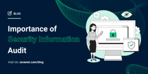 The Importance of Information System Audits and Updates